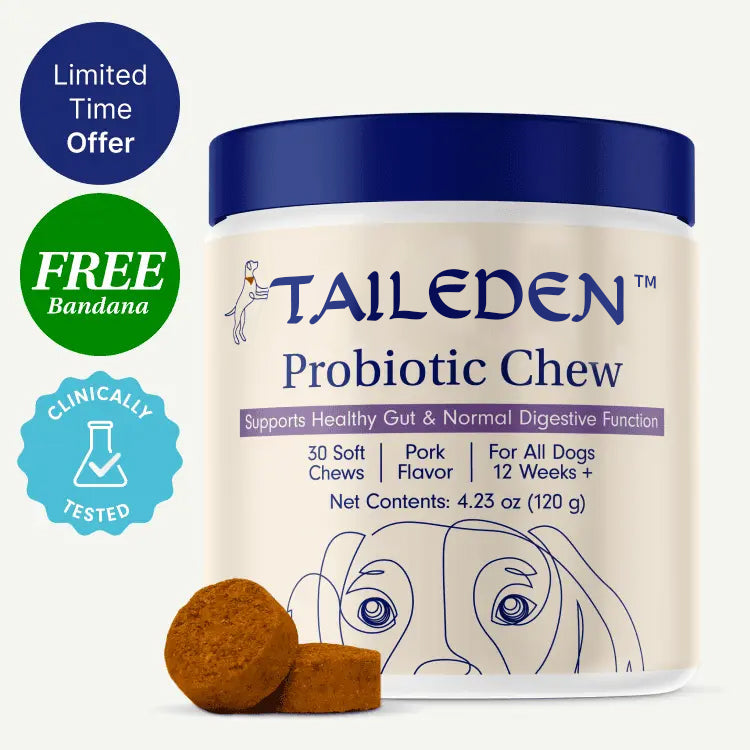 Healthy Gut, Happy Pup 🐶