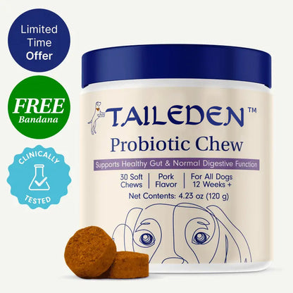 Healthy Gut, Happy Pup 🐶
